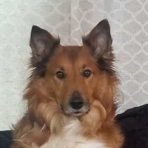 Meet your Posher, Barbara